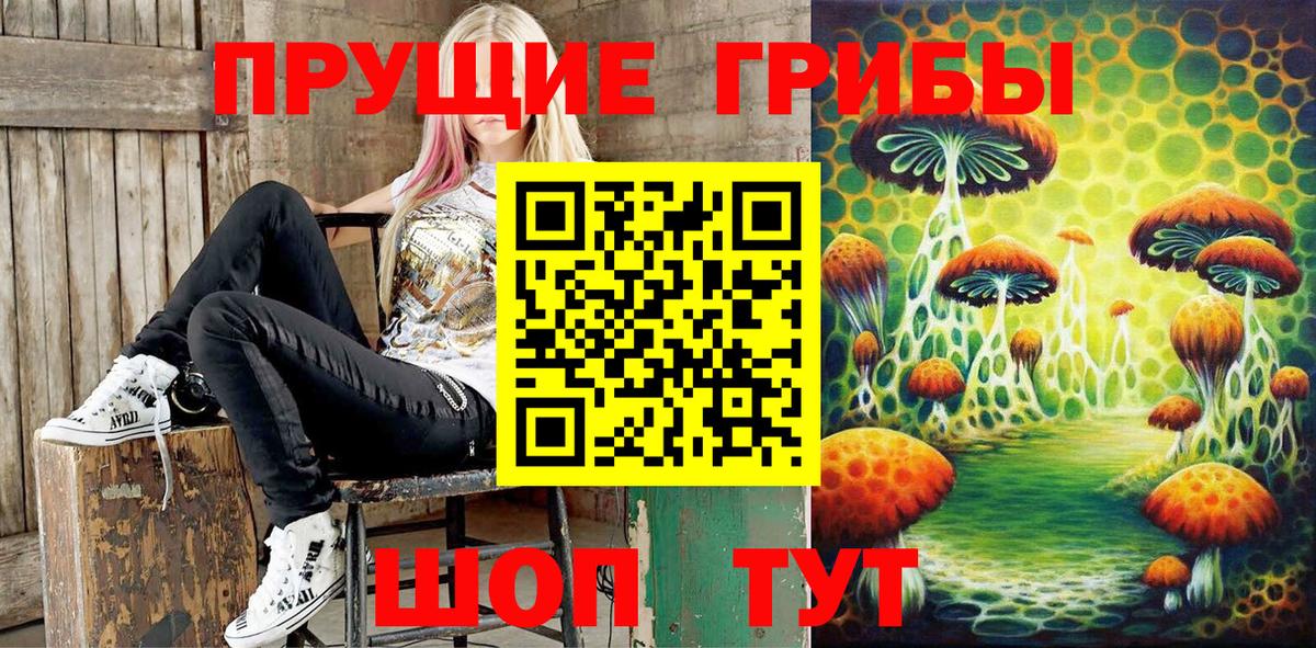 Галлюциногенные грибы Psilocybine cubensis Белгород